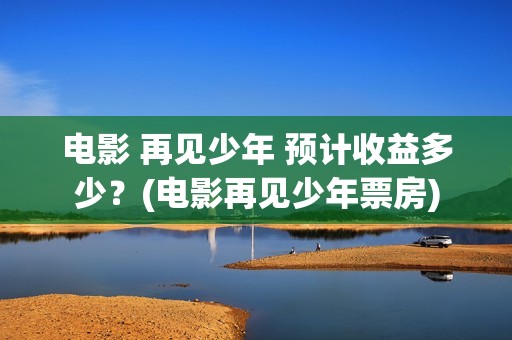 电影 再见少年 预计收益多少？(电影再见少年票房)