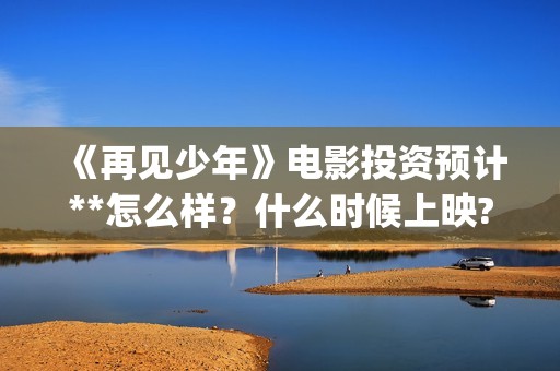《再见少年》电影投资预计**怎么样？什么时候上映? (再见少年是什么电影)