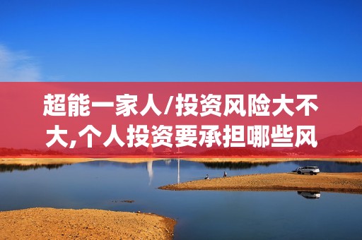 超能一家人/投资风险大不大,个人投资要承担哪些风险?(超能一家人投资成本)