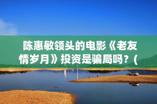  陈惠敏领头的电影《老友情岁月》投资是骗局吗？(陈惠敏个人)