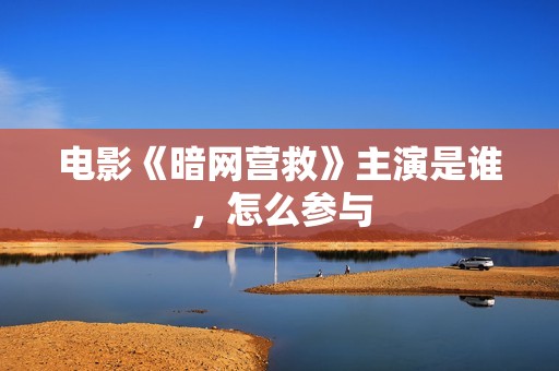 电影《暗网营救》主演是谁，怎么参与