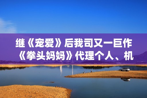 继《宠爱》后我司又一巨作《拳头妈妈》代理个人、机构等资方对接合作(《过后宠爱》)