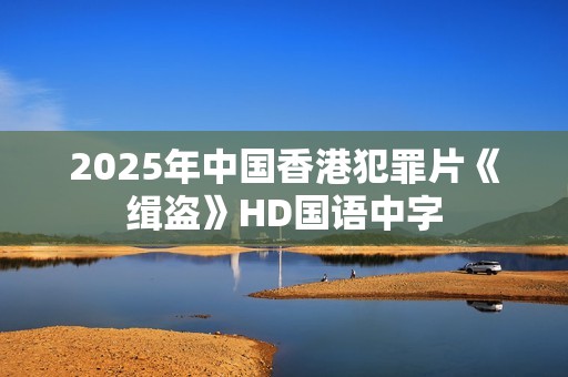 2025年中国香港犯罪片《缉盗》HD国语中字