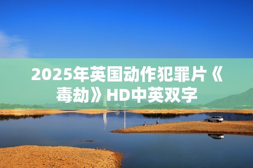 2025年英国动作犯罪片《毒劫》HD中英双字