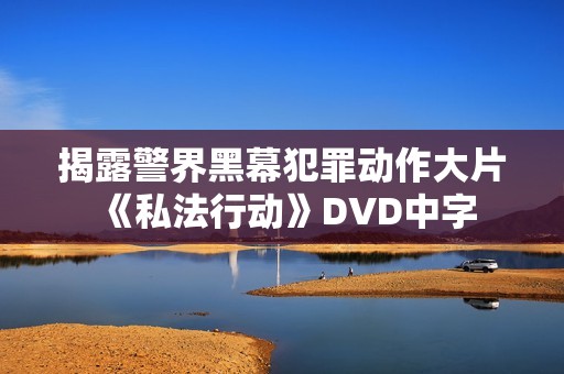 揭露警界黑幕犯罪动作大片《私法行动》DVD中字