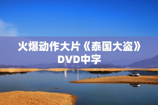 火爆动作大片《泰国大盗》DVD中字