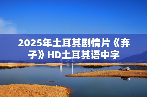 2025年土耳其剧情片《弃子》HD土耳其语中字