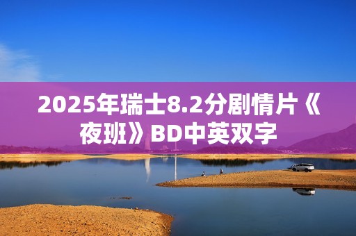 2025年瑞士8.2分剧情片《夜班》BD中英双字