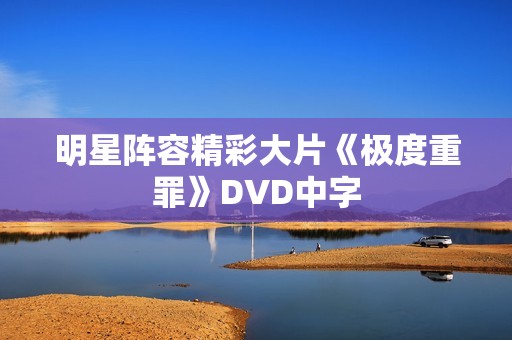 明星阵容精彩大片《极度重罪》DVD中字