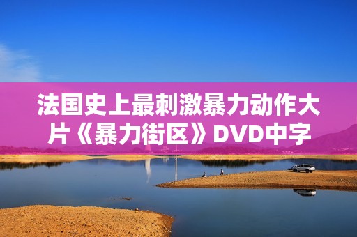 法国史上最刺激暴力动作大片《暴力街区》DVD中字