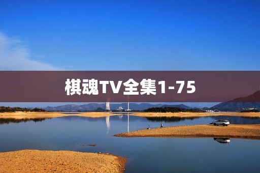 棋魂TV全集1-75