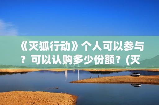 《灭狐行动》个人可以参与？可以认购多少份额？(灭狐行动制片人)