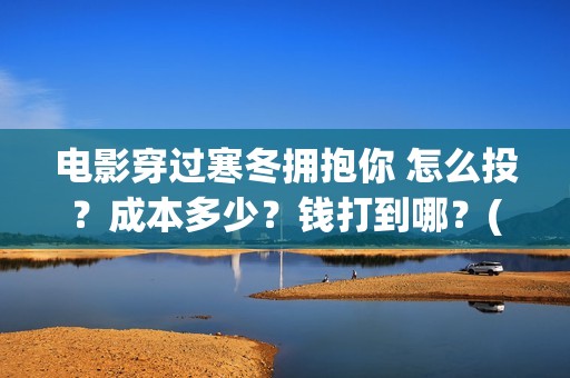 电影穿过寒冬拥抱你 怎么投？成本多少？钱打到哪？(电影穿过寒冬拥抱你剧情介绍)