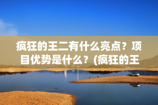 疯狂的王二有什么亮点？项目优势是什么？(疯狂的王二演员)