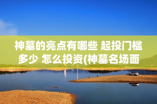 神墓的亮点有哪些 起投门槛多少 怎么投资(神墓名场面)