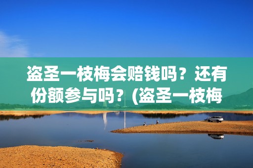 盗圣一枝梅会赔钱吗？还有份额参与吗？(盗圣一枝梅演员)