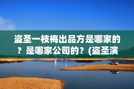 盗圣一枝梅出品方是哪家的？是哪家公司的？(盗圣演盗圣)