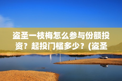 盗圣一枝梅怎么参与份额投资？起投门槛多少？(盗圣一枝梅演员)
