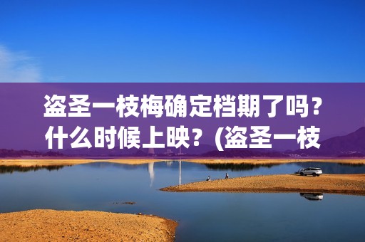 盗圣一枝梅确定档期了吗？什么时候上映？(盗圣一枝梅演员)