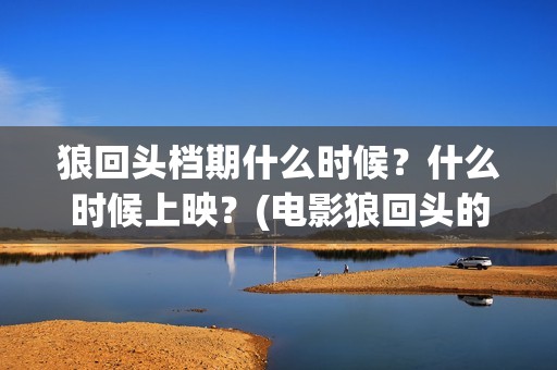 狼回头档期什么时候？什么时候上映？(电影狼回头的电影投资)
