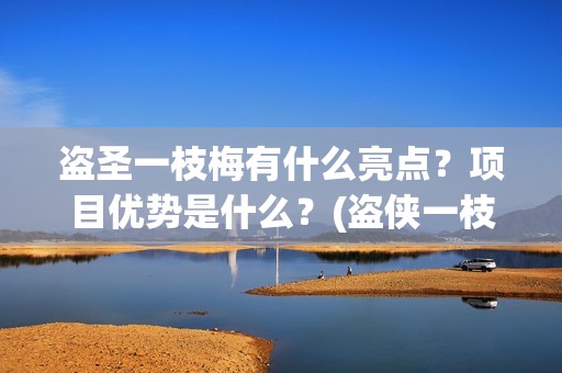 盗圣一枝梅有什么亮点？项目优势是什么？(盗侠一枝梅)