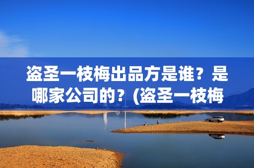 盗圣一枝梅出品方是谁？是哪家公司的？(盗圣一枝梅演员)