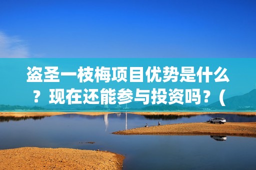盗圣一枝梅项目优势是什么？现在还能参与投资吗？(盗侠一枝梅)