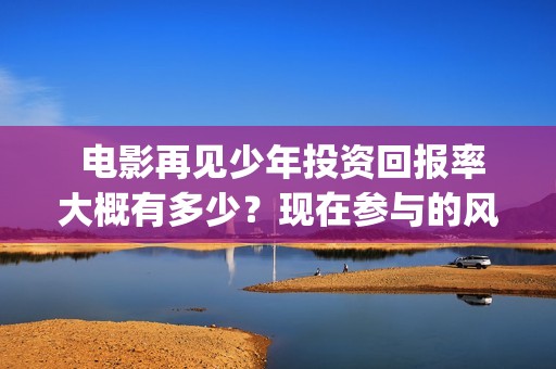  电影再见少年投资回报率大概有多少？现在参与的风险大吗？(电影再见少年剧情介绍)