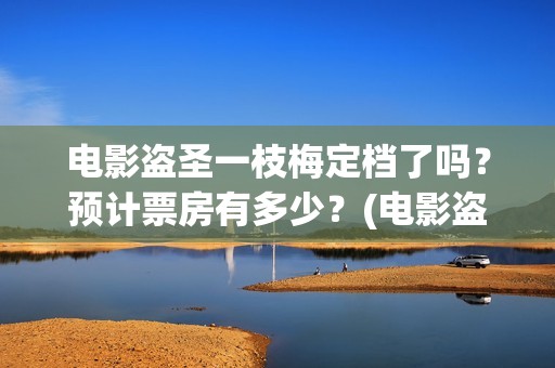 电影盗圣一枝梅定档了吗？预计票房有多少？(电影盗圣一枝梅简介)