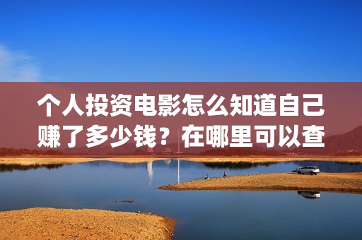 个人投资电影怎么知道自己赚了多少钱？在哪里可以查询？(个人投资电影项目,怎么投)