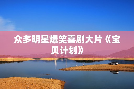 众多明星爆笑喜剧大片《宝贝计划》