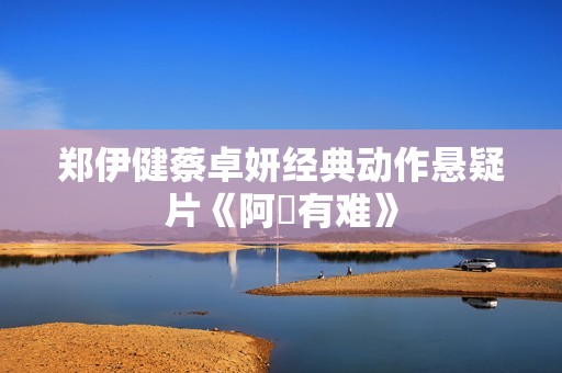 郑伊健蔡卓妍经典动作悬疑片《阿孖有难》
