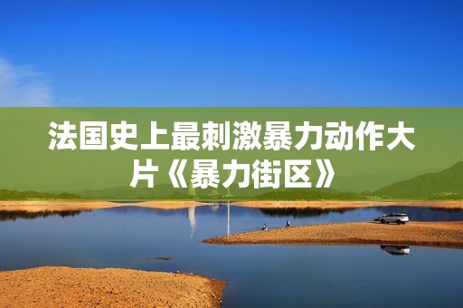 法国史上最刺激暴力动作大片《暴力街区》