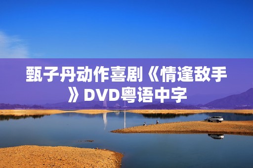 甄子丹动作喜剧《情逢敌手》DVD粤语中字