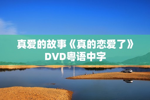 真爱的故事《真的恋爱了》DVD粤语中字