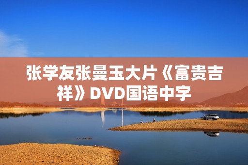 张学友张曼玉大片《富贵吉祥》DVD国语中字