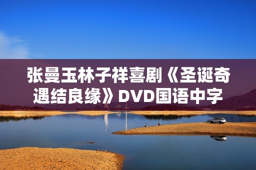 张曼玉林子祥喜剧《圣诞奇遇结良缘》DVD国语中字
