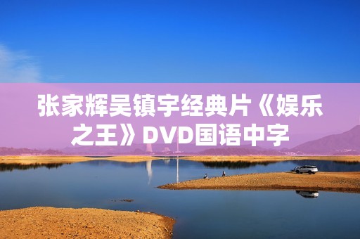 张家辉吴镇宇经典片《娱乐之王》DVD国语中字