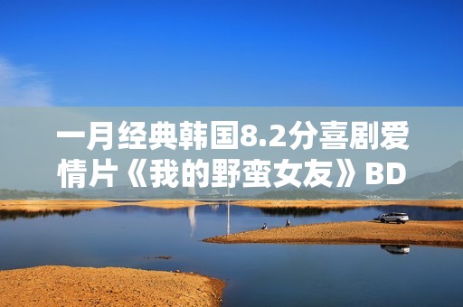 一月经典韩国8.2分喜剧爱情片《我的野蛮女友》BD双语中字