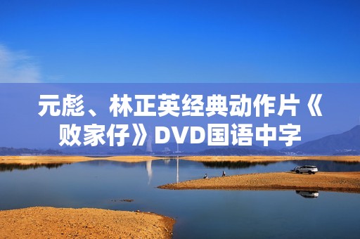 元彪、林正英经典动作片《败家仔》DVD国语中字