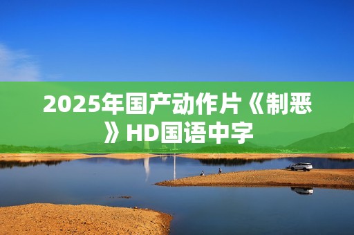 2025年国产动作片《制恶》HD国语中字