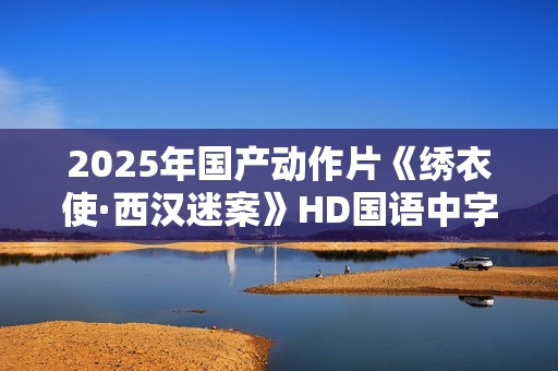 2025年国产动作片《绣衣使·西汉迷案》HD国语中字