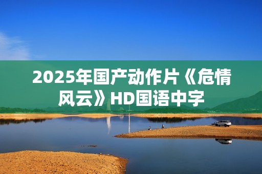 2025年国产动作片《危情风云》HD国语中字