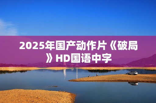 2025年国产动作片《破局》HD国语中字