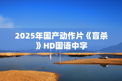 2025年国产动作片《盲杀》HD国语中字