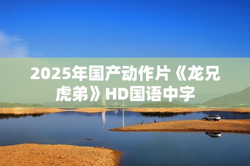 2025年国产动作片《龙兄虎弟》HD国语中字