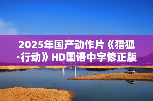 2025年国产动作片《猎狐·行动》HD国语中字修正版