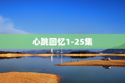 心跳回忆1-25集