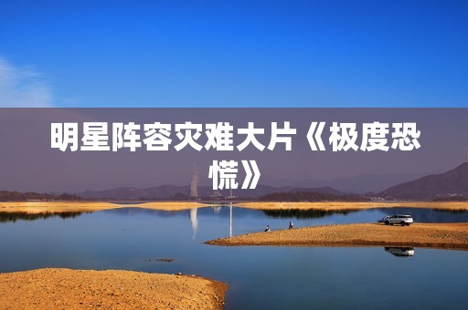 明星阵容灾难大片《极度恐慌》