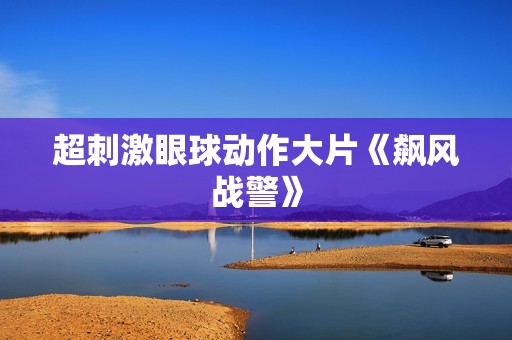 超刺激眼球动作大片《飙风战警》